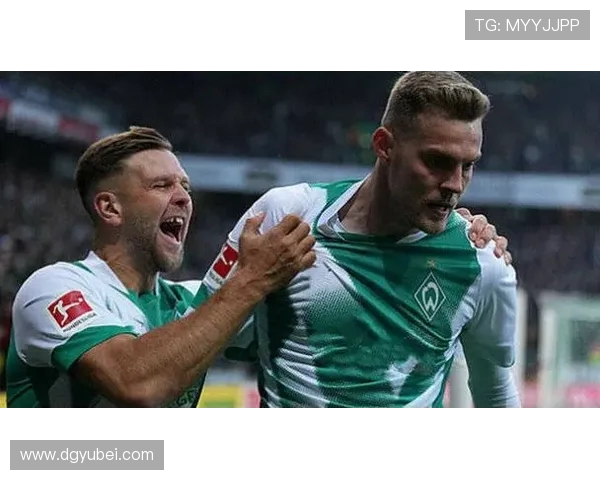 海登海姆顽强逼平不莱梅 双方激战90分钟战成2比2平